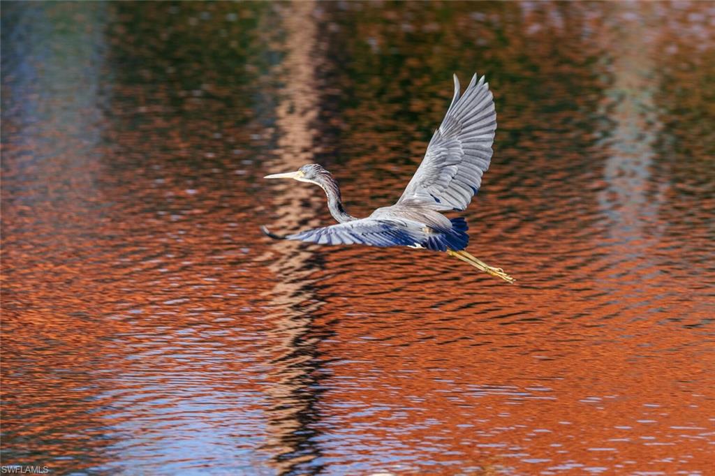 Naples, Florida, 34110, United States, 6 Bedrooms Bedrooms, ,7 BathroomsBathrooms,Residential,For Sale,1995296